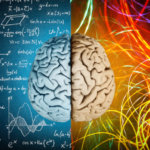 Illustration d'un cerveau avec différentes couleurs qui en émergent.