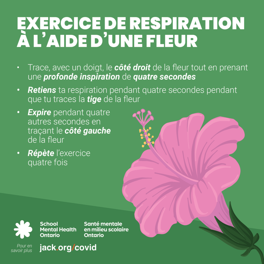 Texte accompagné de l'image d'une fleur d'hibiscus rose. Une description complète est fournie ci-après.