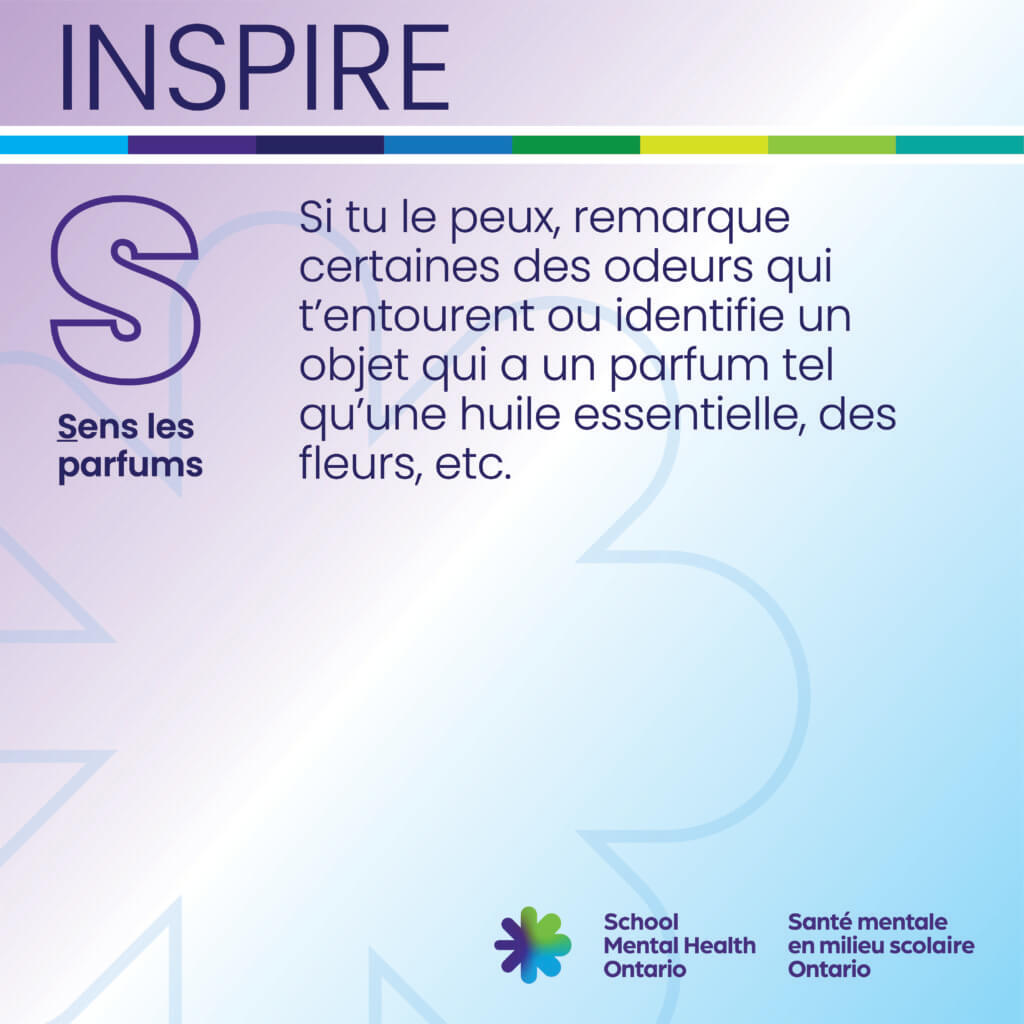 Texte S – Sens les parfums. Une description complète est fournie ci-après.