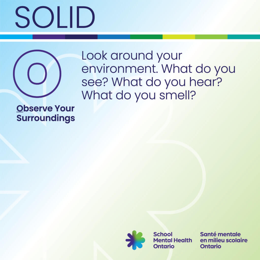 Observe your surroundings text, a full description follows.