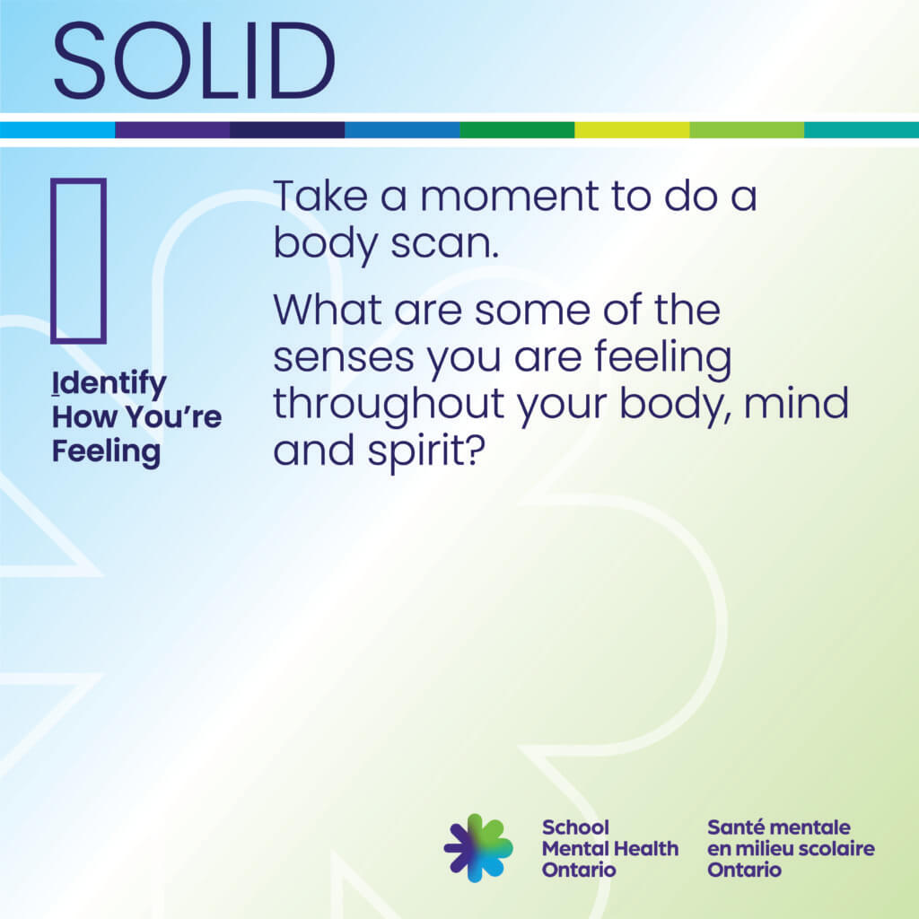 Identify how you're feeling text, a full description follows.