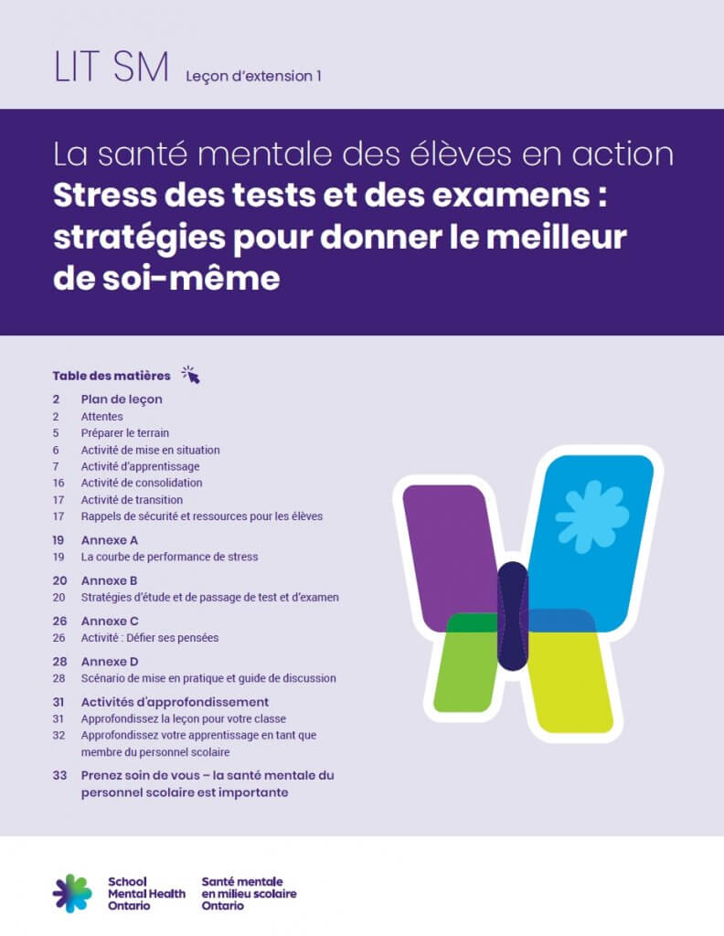 Student MH Lite - Plan de cours