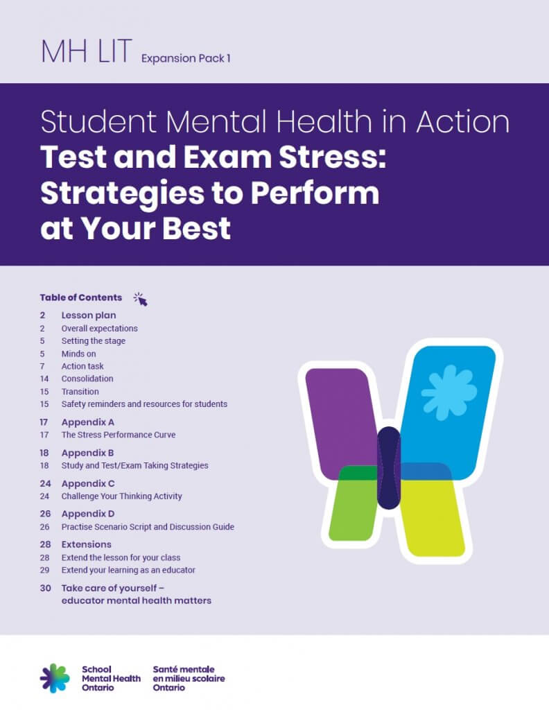 Student MH Lite - Lesson Plan