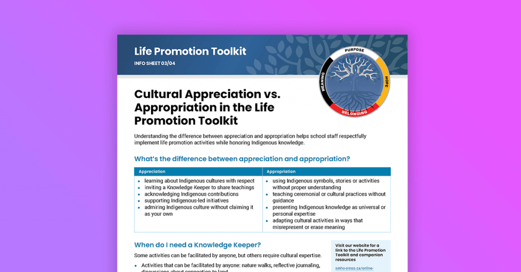 Cultural Appreciation vs. Appropriation in the Life Promotion Toolkit